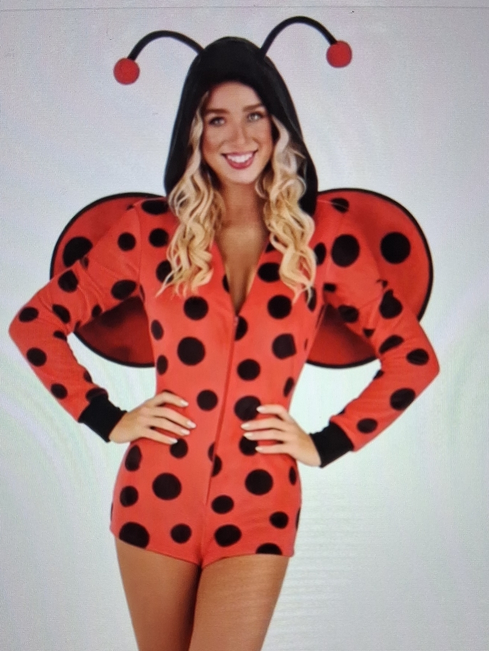 RED LADY BUG